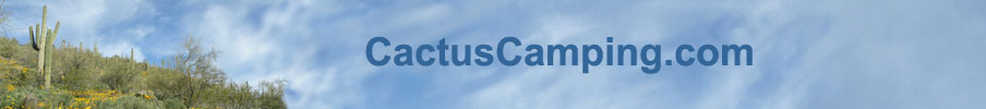 cactus camping logo